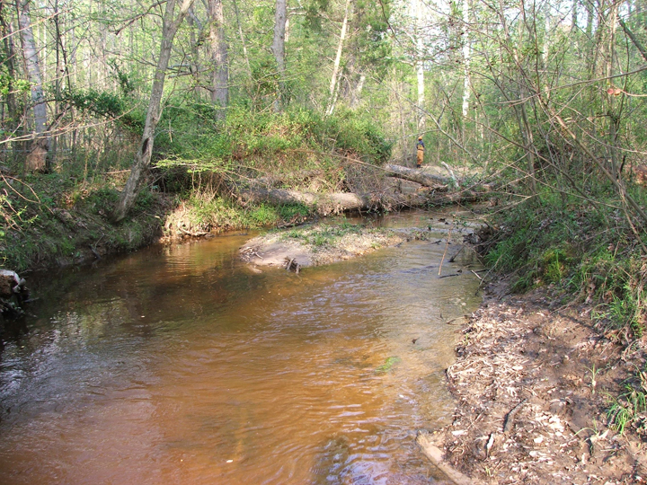 Field photo showing stream conditions at site ZEKI-202-A-2008-1