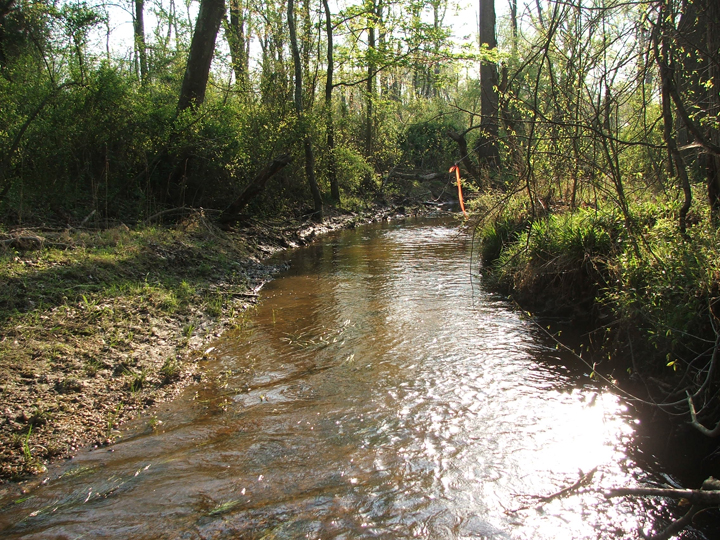Field photo showing stream conditions at site ZEKI-202-A-2008-2