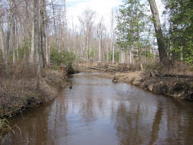 Field photo showing stream conditions at site ZEKI-202-A-2012-1