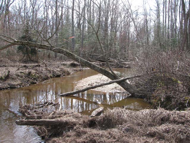 Field photo showing stream conditions at site ZEKI-202-A-2012-2