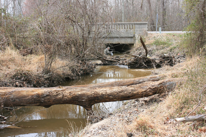 Field photo showing stream conditions at site ZEKI-204-X-2011-1