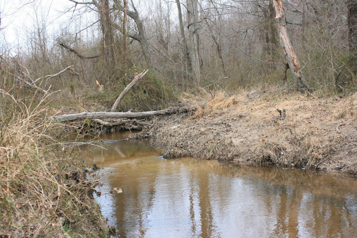 Field photo showing stream conditions at site ZEKI-204-X-2011-2