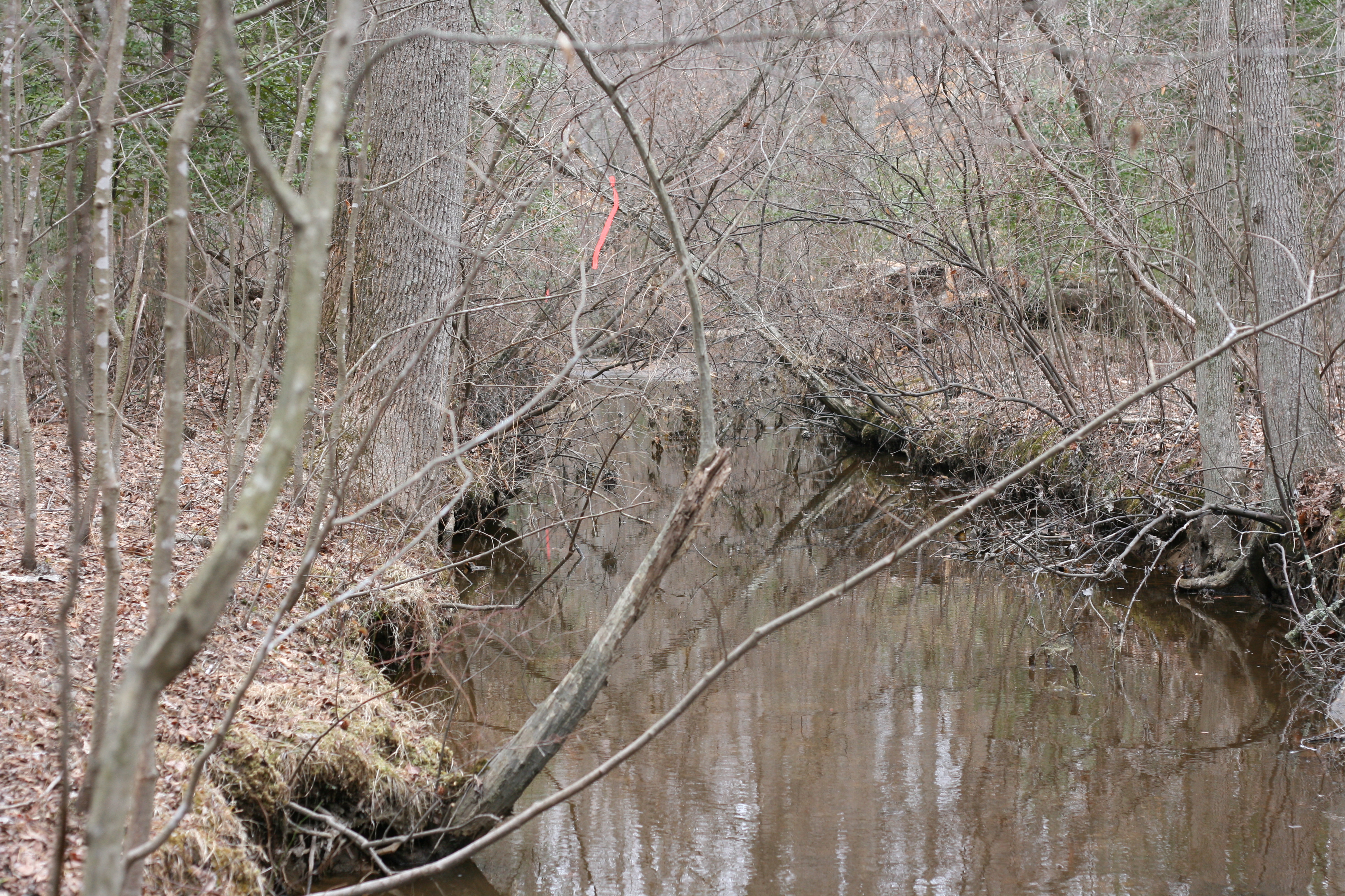 Field photo showing stream conditions at site ZEKI-208-R-2009-1
