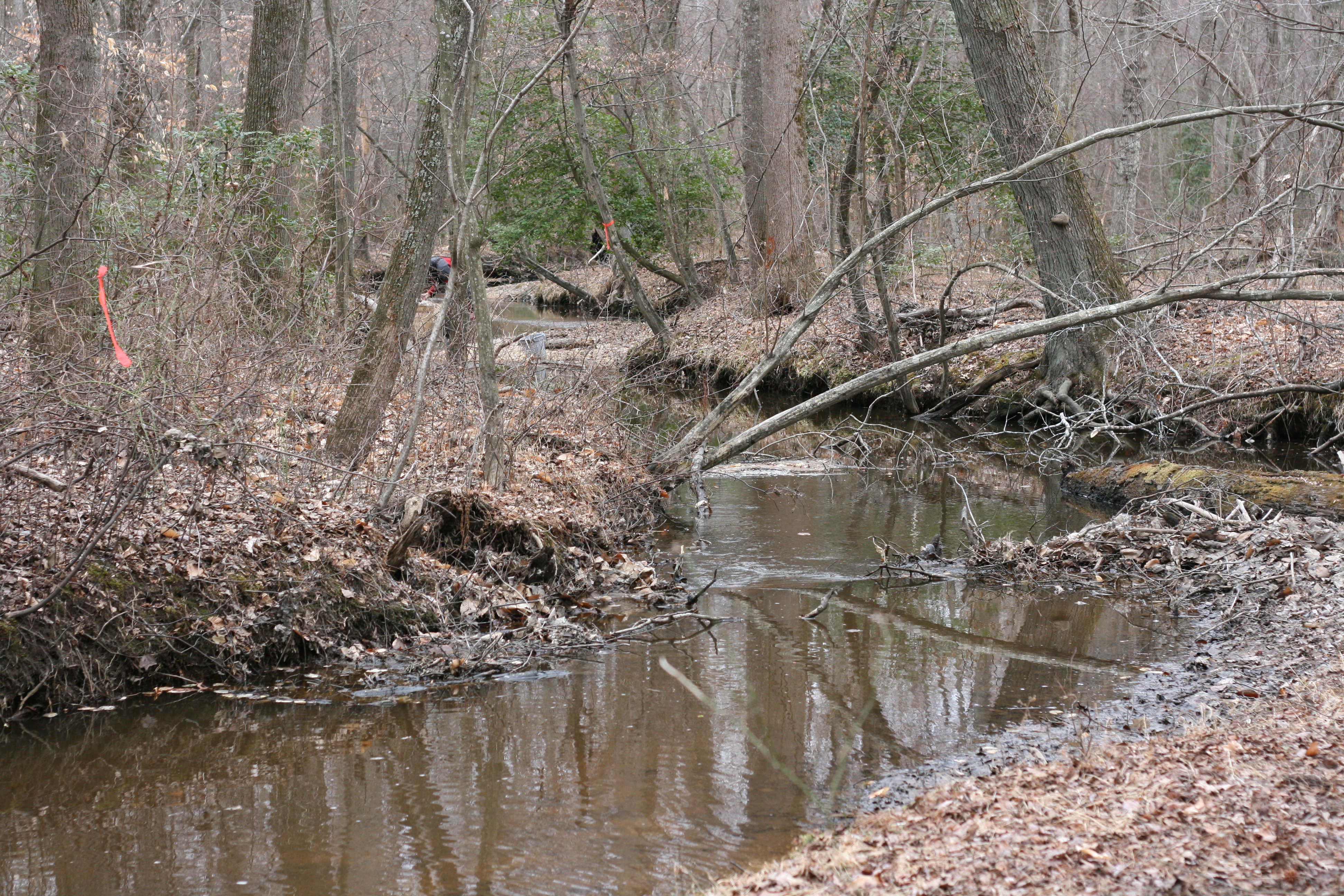 Field photo showing stream conditions at site ZEKI-208-R-2009-2
