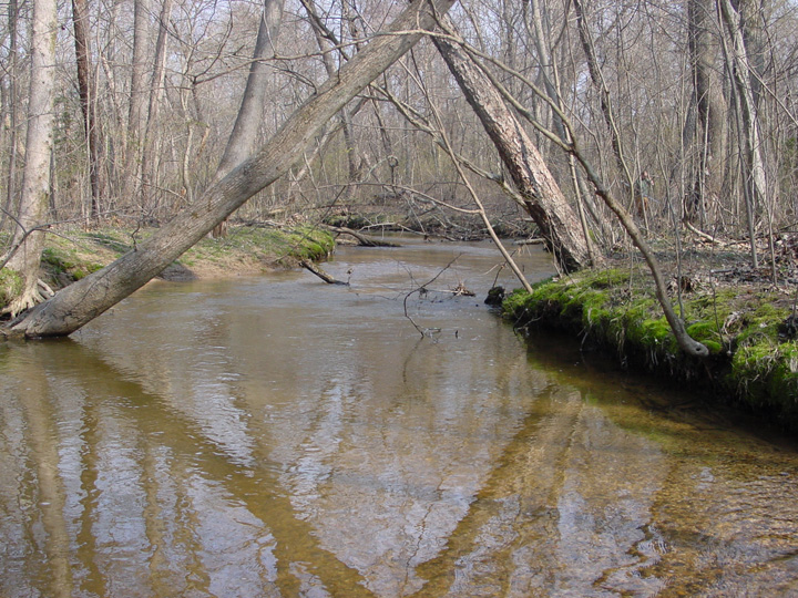 Field photo showing stream conditions at site ZEKI-211-A-2007-1