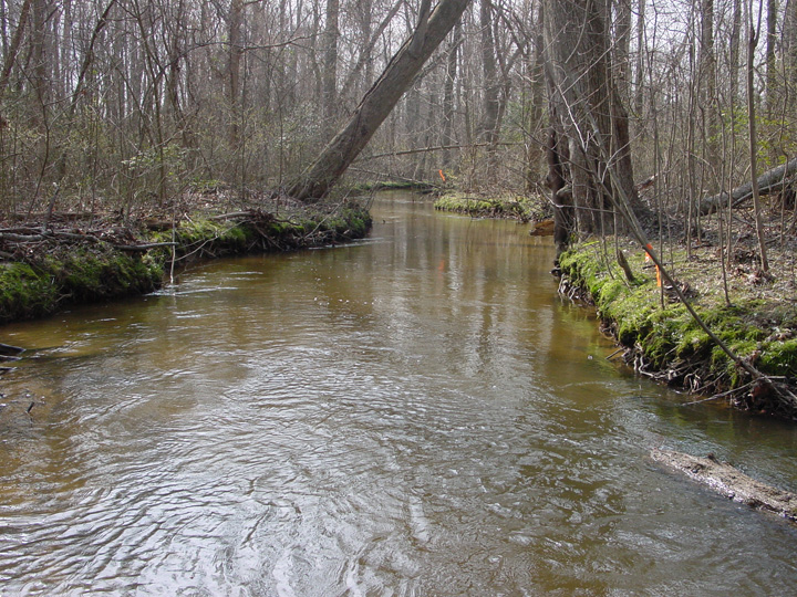 Field photo showing stream conditions at site ZEKI-211-A-2007-2