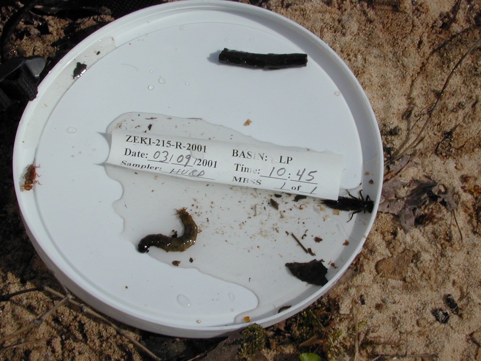 Field photo showing stream conditions at site ZEKI-215-R-2001-61