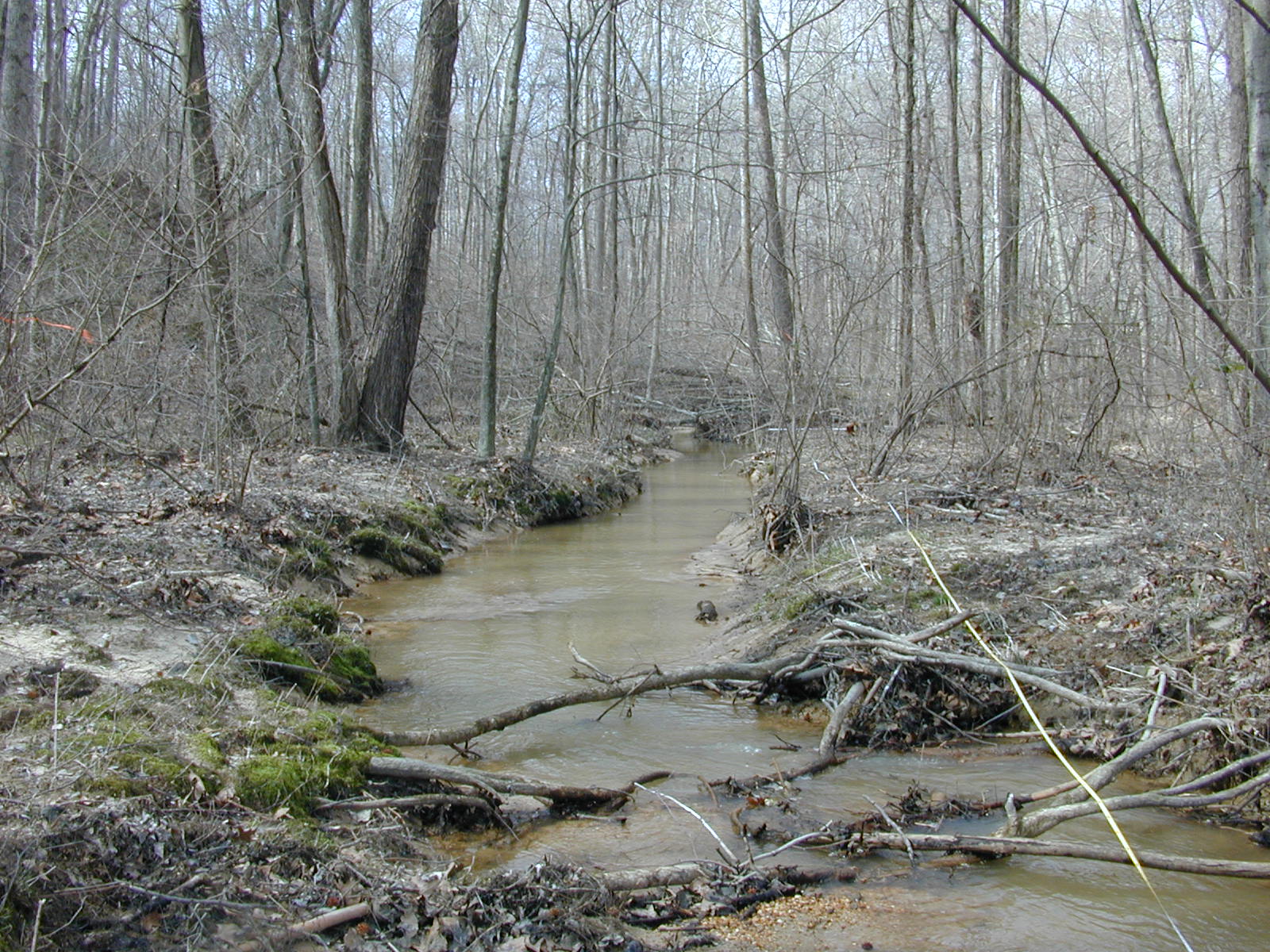 Field photo showing stream conditions at site ZEKI-215-R-2001-62