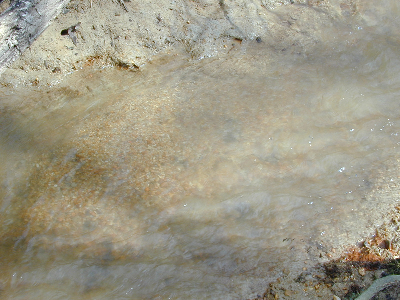Field photo showing stream conditions at site ZEKI-215-R-2001-63
