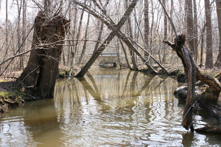 Field photo showing stream conditions at site ZEKI-216-A-2011-2