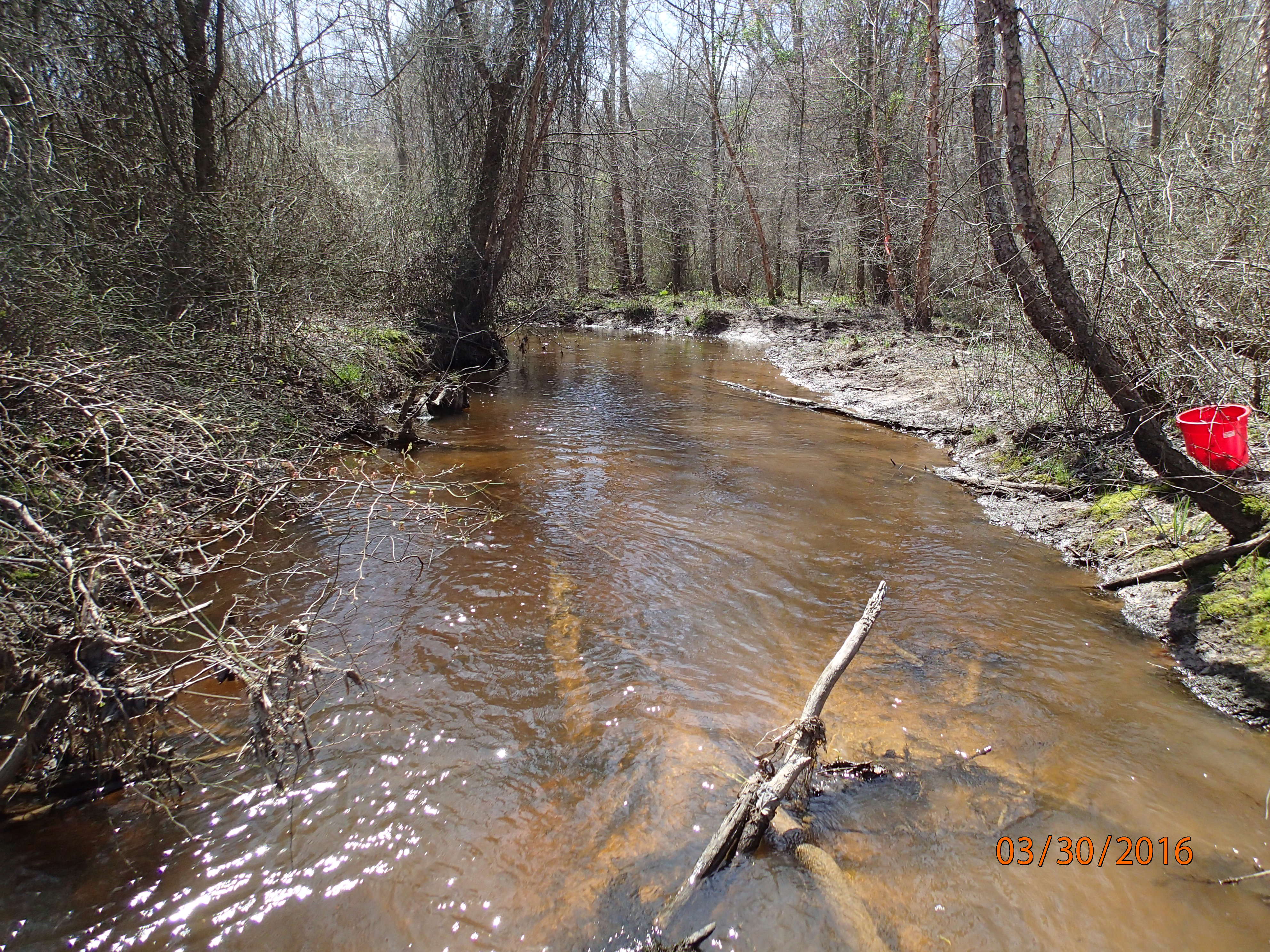 Field photo showing stream conditions at site ZEKI-301-X-2016-MidpointDownstream