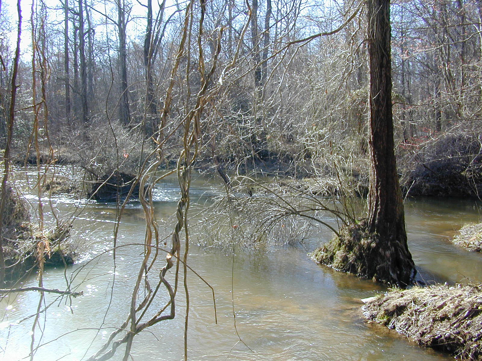 Field photo showing stream conditions at site ZEKI-305-R-2001-97