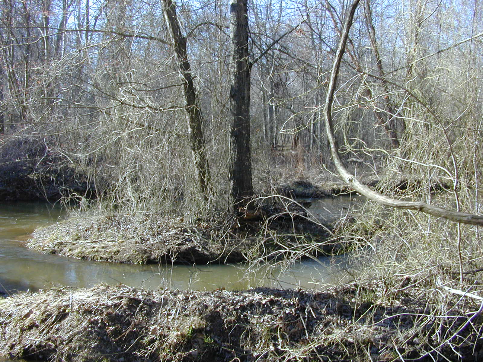Field photo showing stream conditions at site ZEKI-305-R-2001-98