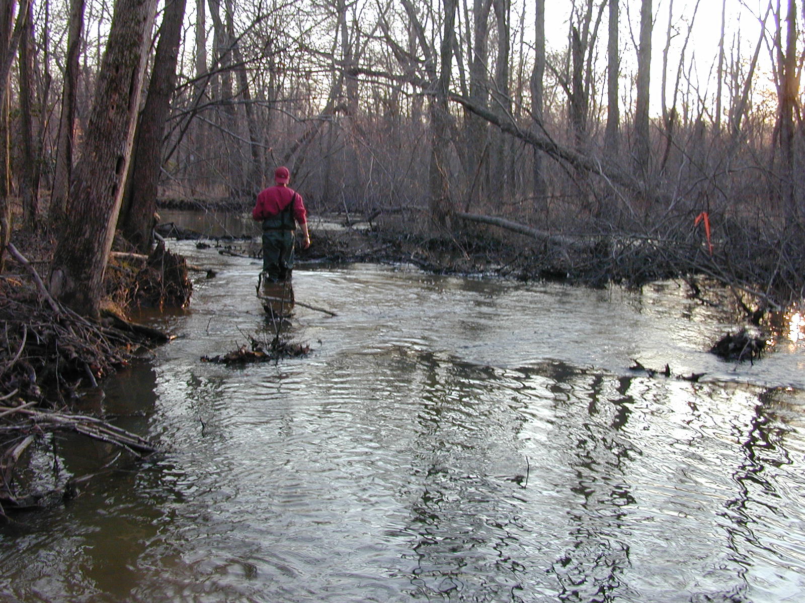 Field photo showing stream conditions at site ZEKI-312-R-2001-54