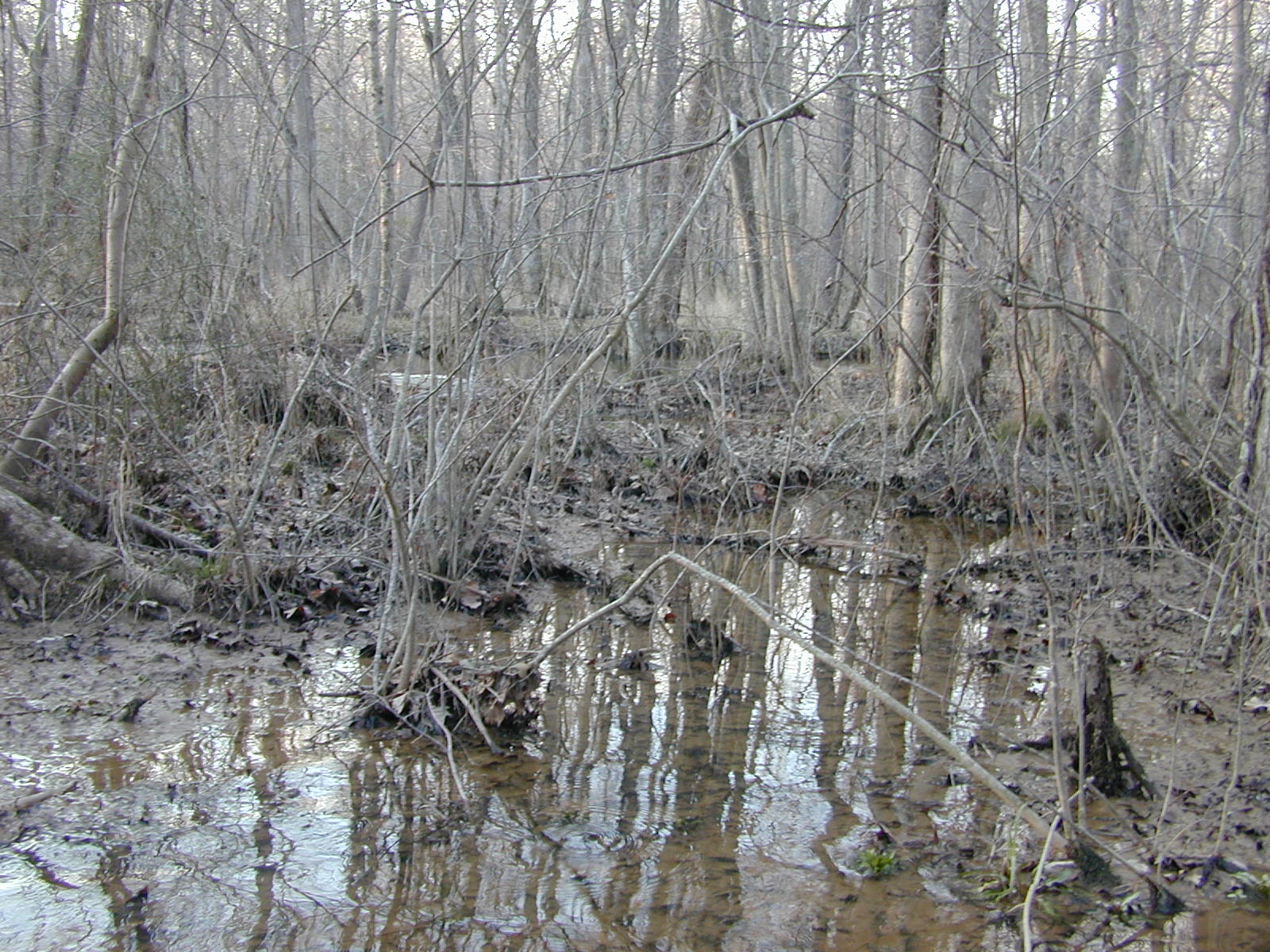 Field photo showing stream conditions at site ZEKI-312-R-2001-55