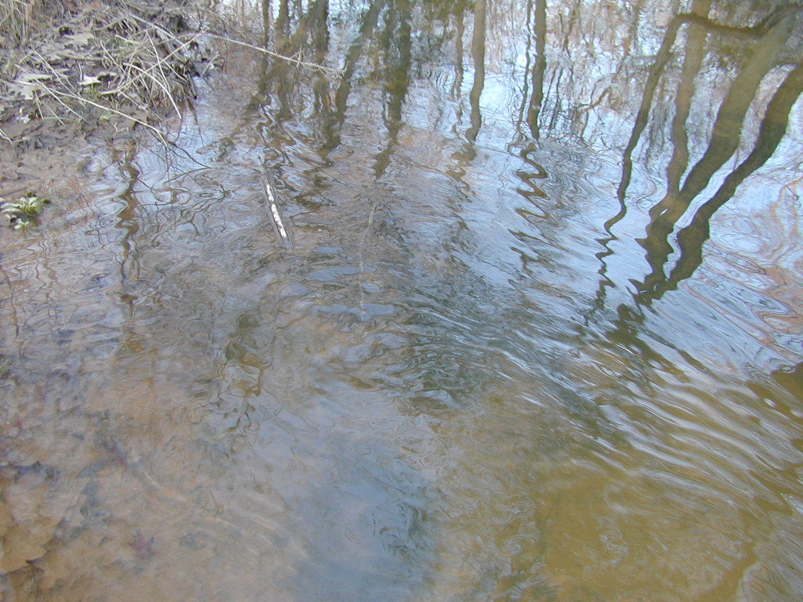 Field photo showing stream conditions at site ZEKI-312-R-2001-56