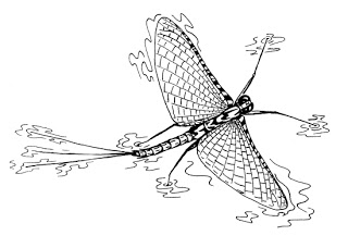 mayfly